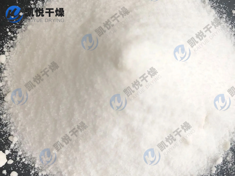 椰奶粉喷雾干燥机